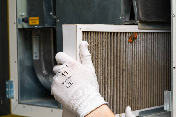 Best HVAC Air Duct Cleaning  in Orange Park, FL